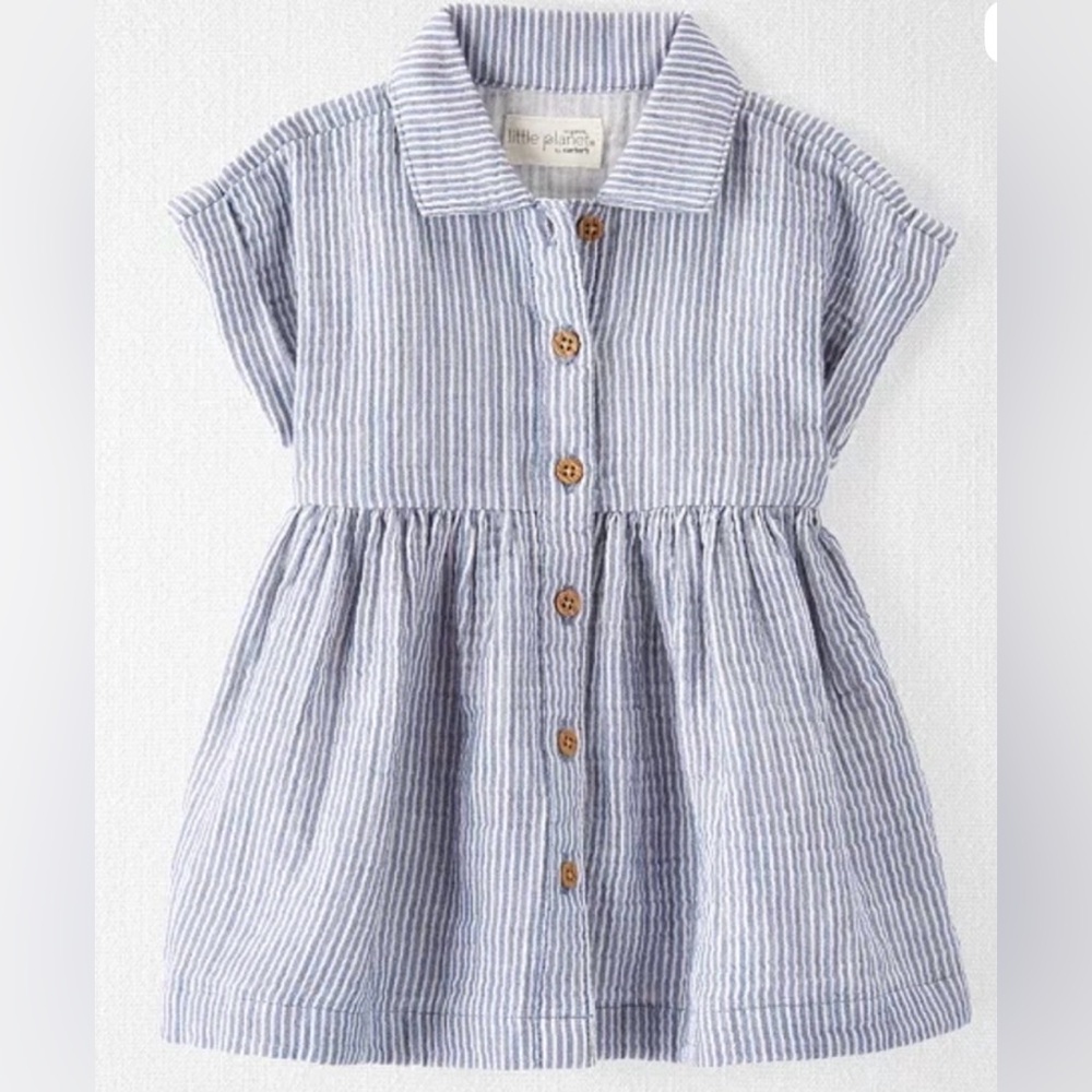 Little planet Blue Striped Dress